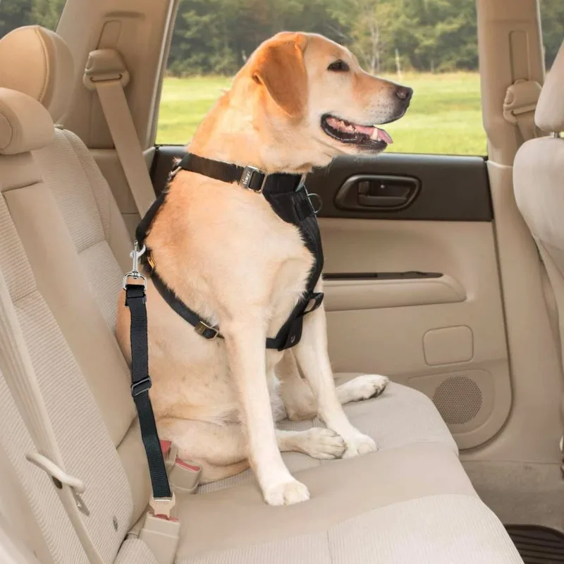 Dog Seat Belt Pet Cat Car Seatbelt Safety Tether Adjustable Harness Leash Heavy Duty Nylon Universal Fit Vehicle Anti Shock Clip
Dog Seat Belt Pet Cat Car Seatbelt Safety Tether Adjustable Harness Leash Heavy Duty Nylon Universal Fit Vehicle Anti Shock Clip