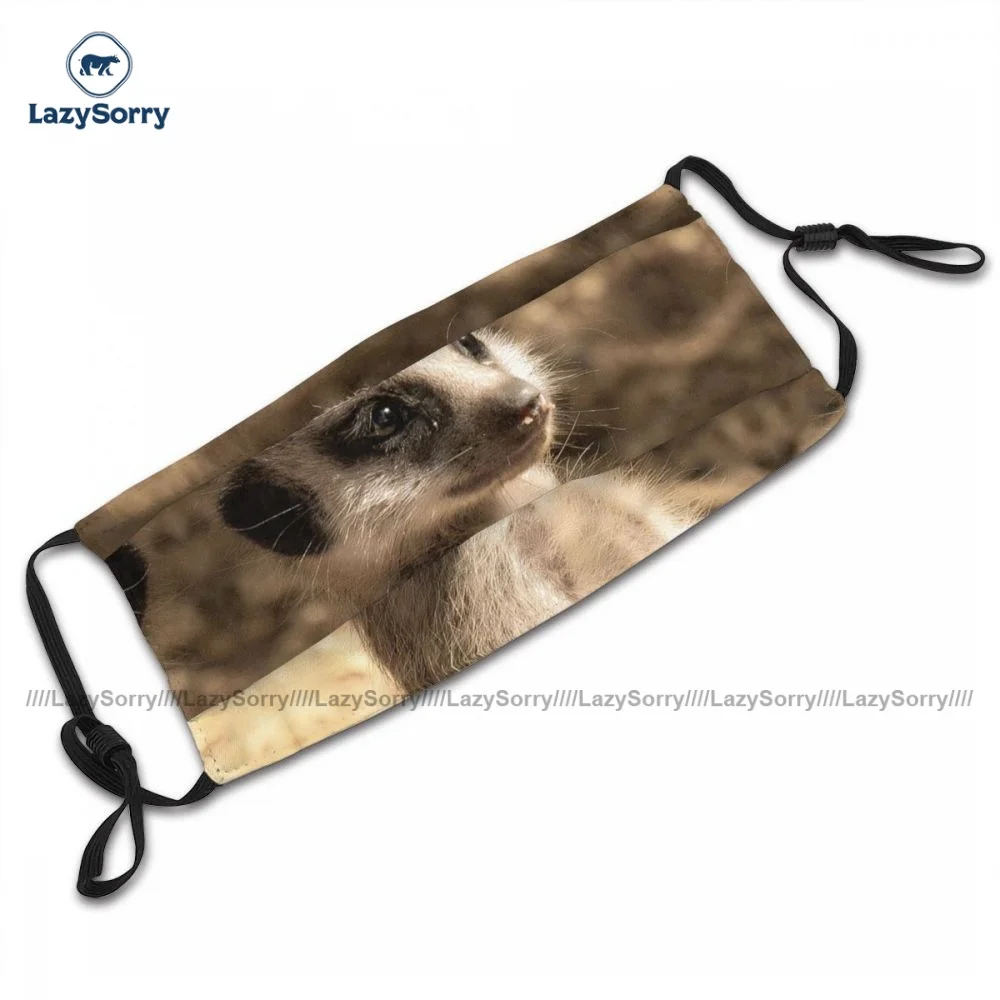 Pattern Anti Dust Meerkat Face Mask Fantasy Adults Polyester Facial Mouth Mask With Filters 
Pattern Anti Dust Meerkat Face Mask Fantasy Adults Polyester Facial Mouth Mask With Filters
