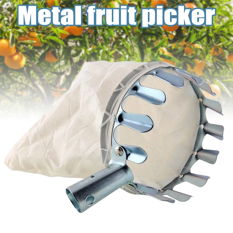 Metal Fruit Picker High Tree Picking Tools for Harvest Picking Apple Citrus Pear Peach Fruit Catcher Collector jlrr
Metal Fruit Picker High Tree Picking Tools for Harvest Picking Apple Citrus Pear Peach Fruit Catcher Collector jlrr