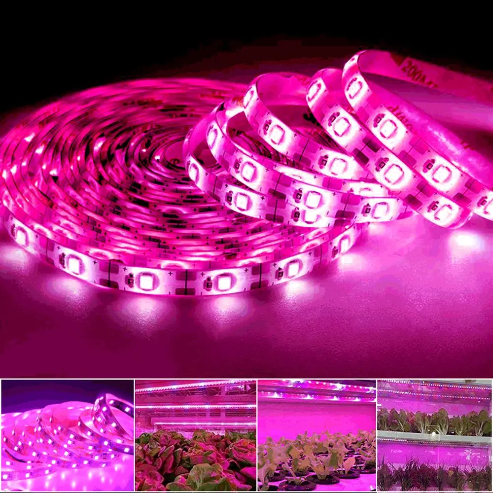 

1M 2M 3M 4M 5M LED Phyto Lamp Strip 5V USB Grow Light Strip 2835 Phytolamp For Plants Hydroponic Greenhouse Seedlings Growth