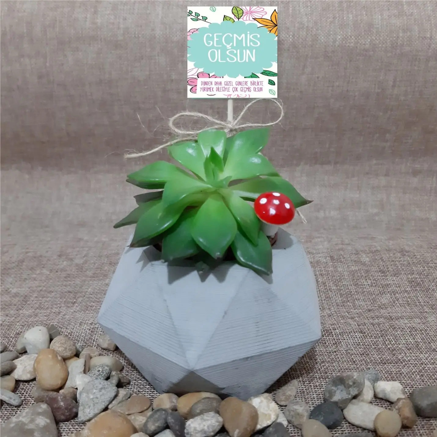 Handmade Natural Concrete Pot-5 
Handmade Natural Concrete Pot-5