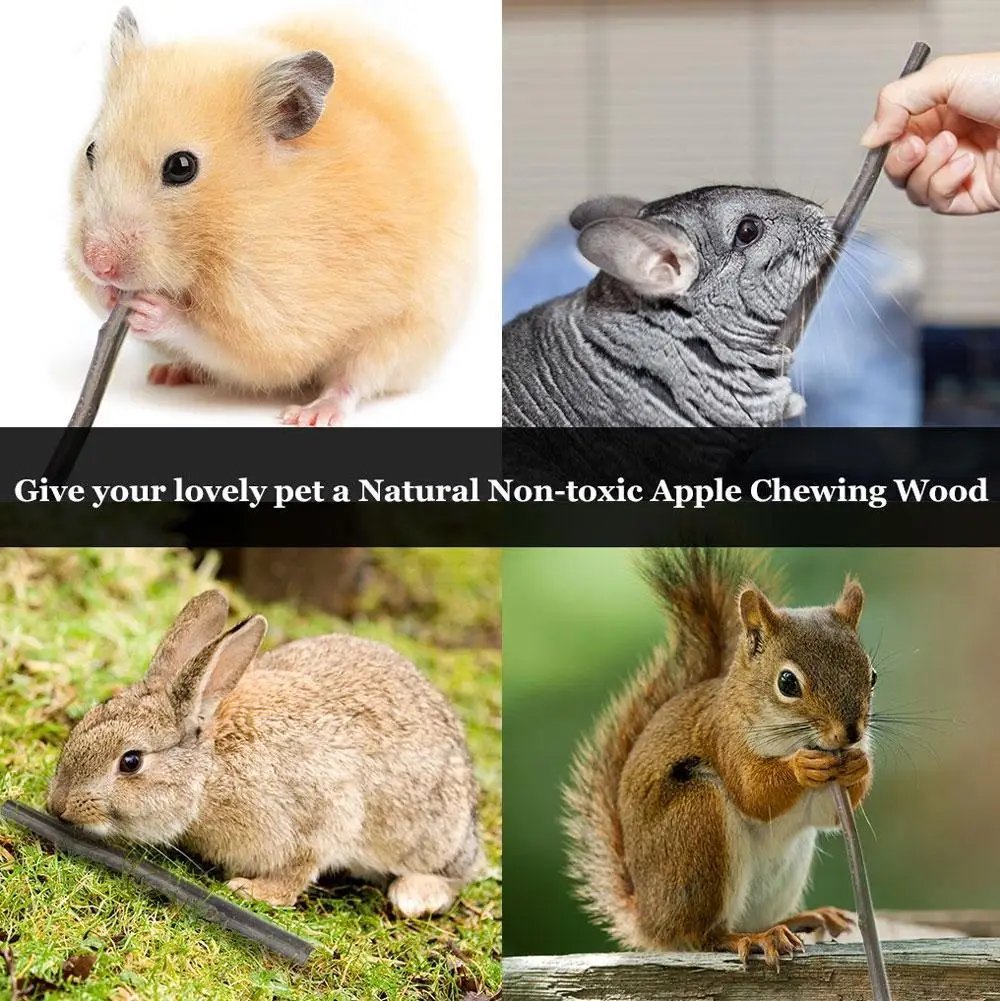 50g/Bag Pet Playing Small Pets Rabbit Hamster Guinea Chew Toys Twigs Sticks Pig Hamster Parrot Toy Wood Teeth Cleaning M1K4
50g/Bag Pet Playing Small Pets Rabbit Hamster Guinea Chew Toys Twigs Sticks Pig Hamster Parrot Toy Wood Teeth Cleaning M1K4