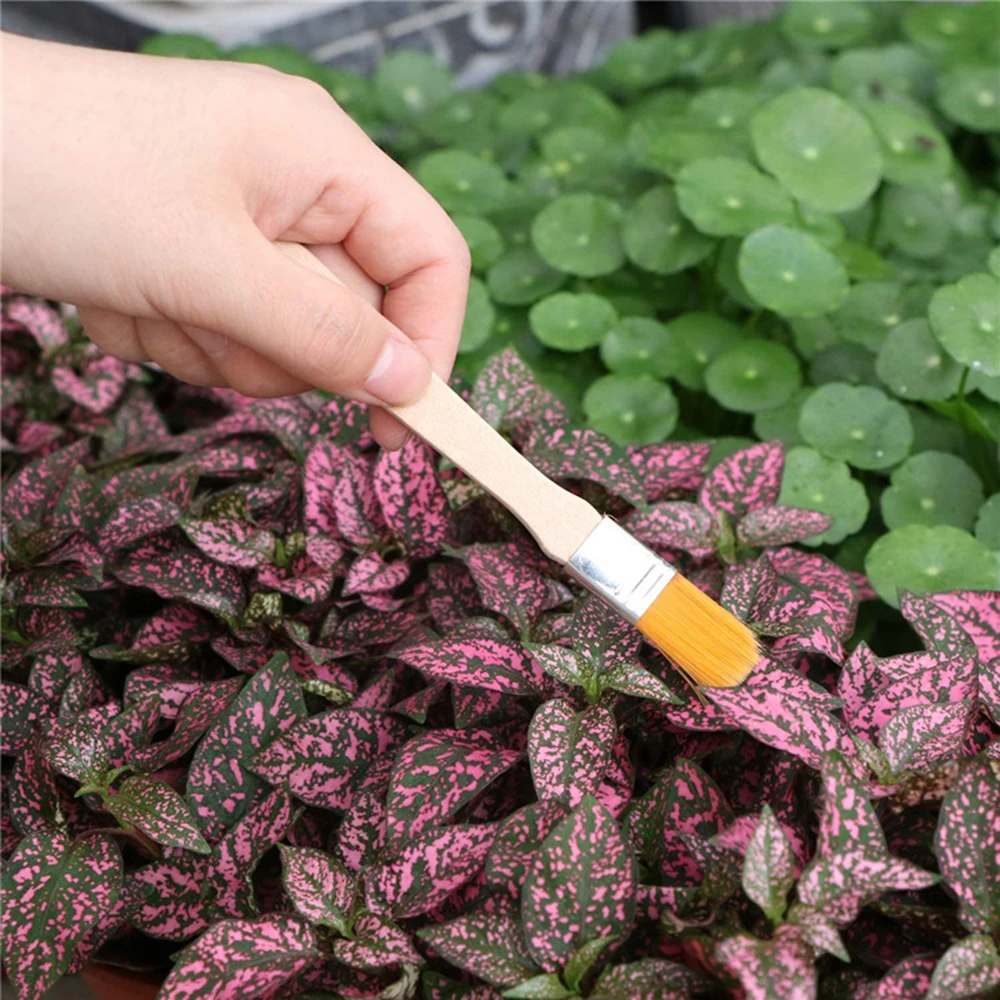 Mini Gardening Transplanting Bonsai Tool Fairy Garden Planting Tool Shovel Rake Spade For Flowers Potted Plant
Mini Gardening Transplanting Bonsai Tool Fairy Garden Planting Tool Shovel Rake Spade For Flowers Potted Plant