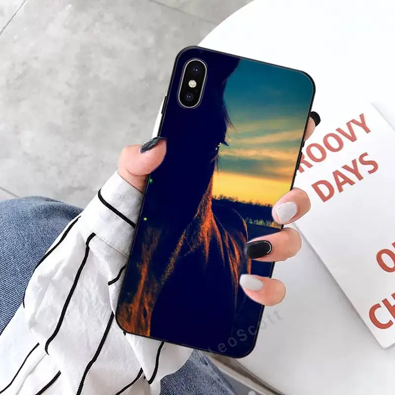 Frederik The Great beauty horse Phone Cases for iPhone 11 12 mini pro XS MAX 8 7 6 6S Plus X 5S SE 2020 XR
Frederik The Great beauty horse Phone Cases for iPhone 11 12 mini pro XS MAX 8 7 6 6S Plus X 5S SE 2020 XR