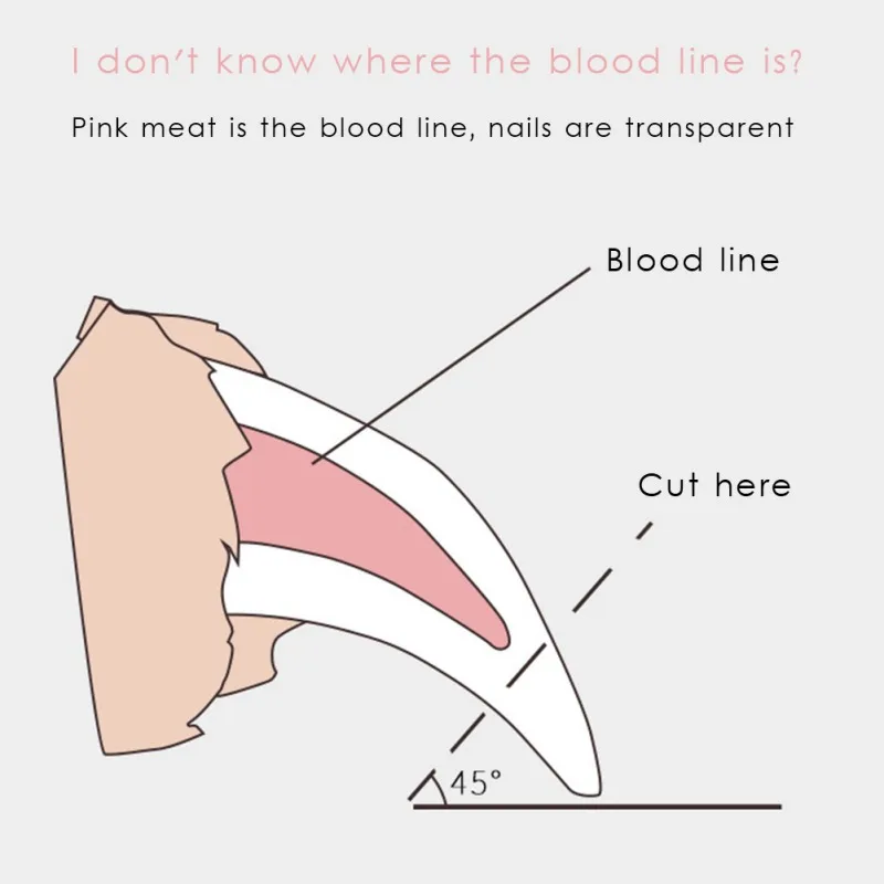 Stainless Steel Pet Nail Clipper With Wood Handle Dog Nailclippers Cat Nail Cutter Animal Claws Scissor Cut Pet Supplies
Stainless Steel Pet Nail Clipper With Wood Handle Dog Nailclippers Cat Nail Cutter Animal Claws Scissor Cut Pet Supplies