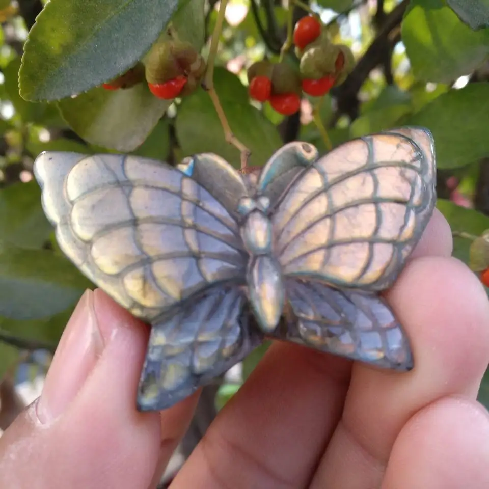 Labradorite Butterfly Figurine Carving Rock Stone Gemstone Animal Fetish 
Labradorite Butterfly Figurine Carving Rock Stone Gemstone Animal Fetish