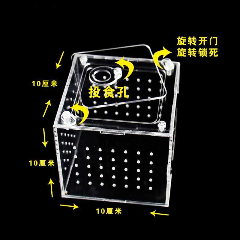 Square Pet Breeding Box Acrylic Transparent Ant Spider Insect Farm Viewing Reptile Terrarium Unique Gifts 
Square Pet Breeding Box Acrylic Transparent Ant Spider Insect Farm Viewing Reptile Terrarium Unique Gifts