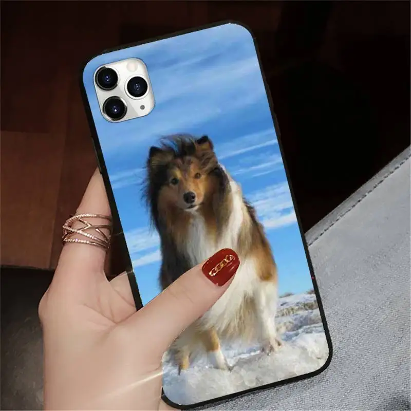 Funny Animal Sheltie dog Phone Case for iPhone 11 12 mini pro XS MAX 8 7 6 6S Plus X 5S SE 2020 XR
Funny Animal Sheltie dog Phone Case for iPhone 11 12 mini pro XS MAX 8 7 6 6S Plus X 5S SE 2020 XR