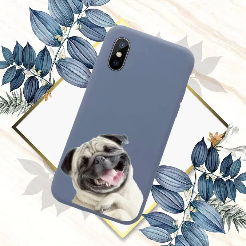 Pug Dog French Bulldog Phone Case Candy Color for iPhone 11 12 pro XS MAX 8 7 6 6S Plus X 5S SE 2020 XR
Pug Dog French Bulldog Phone Case Candy Color for iPhone 11 12 pro XS MAX 8 7 6 6S Plus X 5S SE 2020 XR