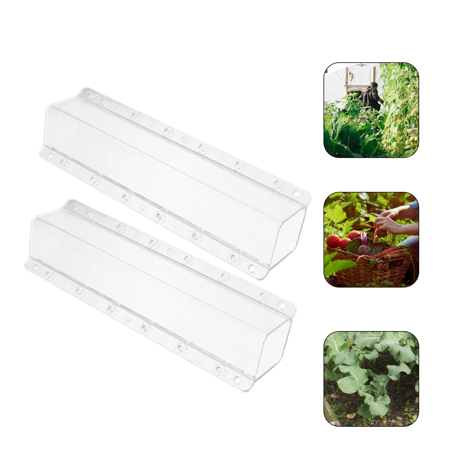 2Pcs Orchards Vegetable Growing Molds Garden Yard Fruit Growth Shaping Accessories
2Pcs Orchards Vegetable Growing Molds Garden Yard Fruit Growth Shaping Accessories