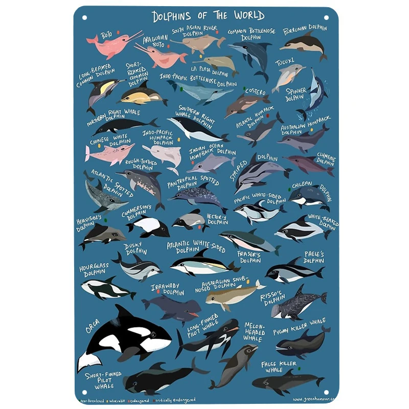Dolphins of the World printed Metal Signs Retro Tin Signs Funny Poster Decor for Bar Pub Club Decoration for Living Room Home
Dolphins of the World printed Metal Signs Retro Tin Signs Funny Poster Decor for Bar Pub Club Decoration for Living Room Home
