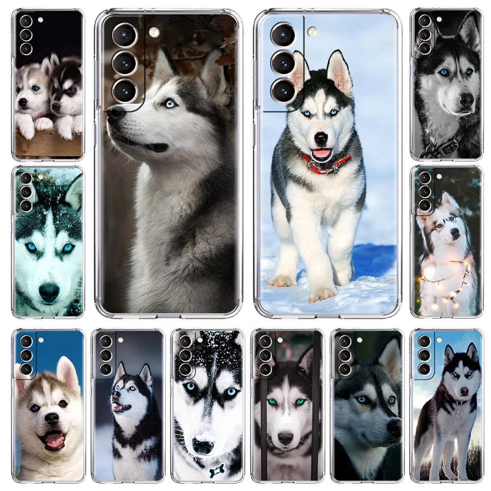 Alaskan Husky Dog Cute Puppy Luxury Crystal Clear Phone Case For Samsung Galaxy S20 FE S21 Ultra S10 Plus S10E S21+ Soft Cover
Alaskan Husky Dog Cute Puppy Luxury Crystal Clear Phone Case For Samsung Galaxy S20 FE S21 Ultra S10 Plus S10E S21+ Soft Cover