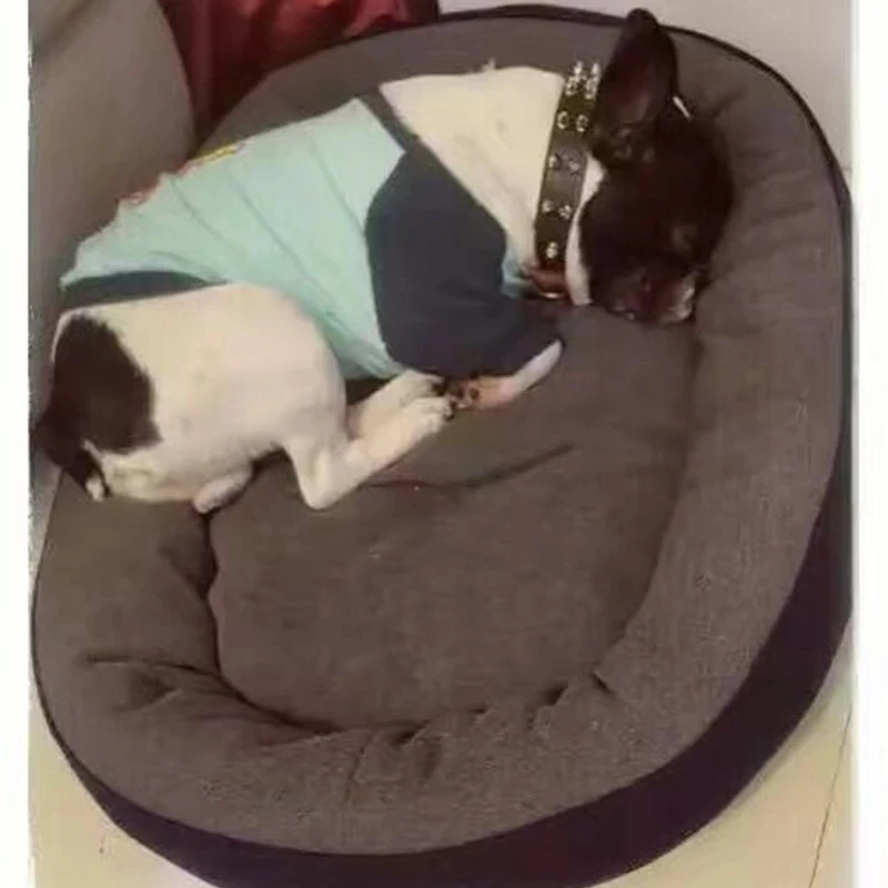 Dog House Soft Material Fashion Pet Dog Bed Warming Both Sides Available Fall and Winter Warm Kennel for Cat Puppy Drop Shipping
Dog House Soft Material Fashion Pet Dog Bed Warming Both Sides Available Fall and Winter Warm Kennel for Cat Puppy Drop Shipping