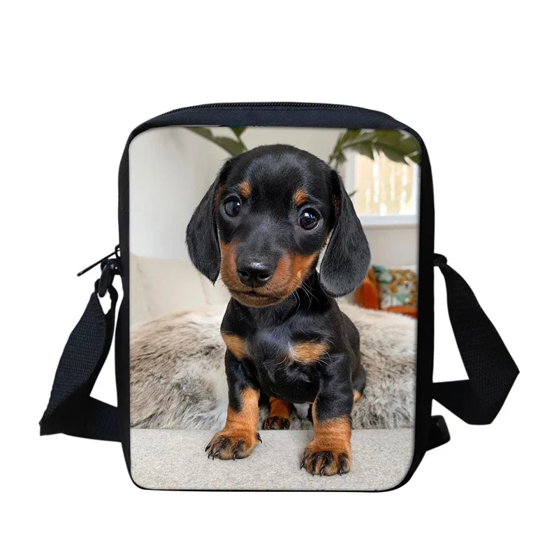 Ladies Messenger Bags for Women Cute Dachshund Dog/Puppy Print Small Designer Crossbody Bag Male Children School Bags Backpack
Ladies Messenger Bags for Women Cute Dachshund Dog/Puppy Print Small Designer Crossbody Bag Male Children School Bags Backpack