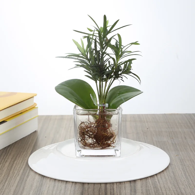 European Square Flower Arrangement Transparent Modern Minimalist Living Room Decoration Succulent Flower Pot Creative Glass Vase
European Square Flower Arrangement Transparent Modern Minimalist Living Room Decoration Succulent Flower Pot Creative Glass Vase