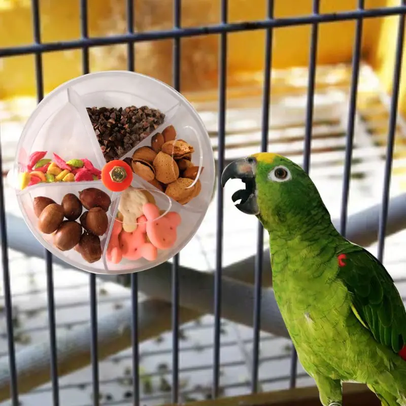 Parrot Foraging Toys Device Bird Bite Toy Wheel Shape Rotatable Birds Puzzle Feeding Food Box
Parrot Foraging Toys Device Bird Bite Toy Wheel Shape Rotatable Birds Puzzle Feeding Food Box