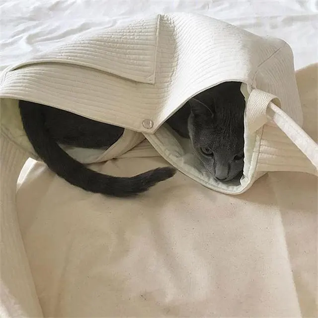 Pet Products