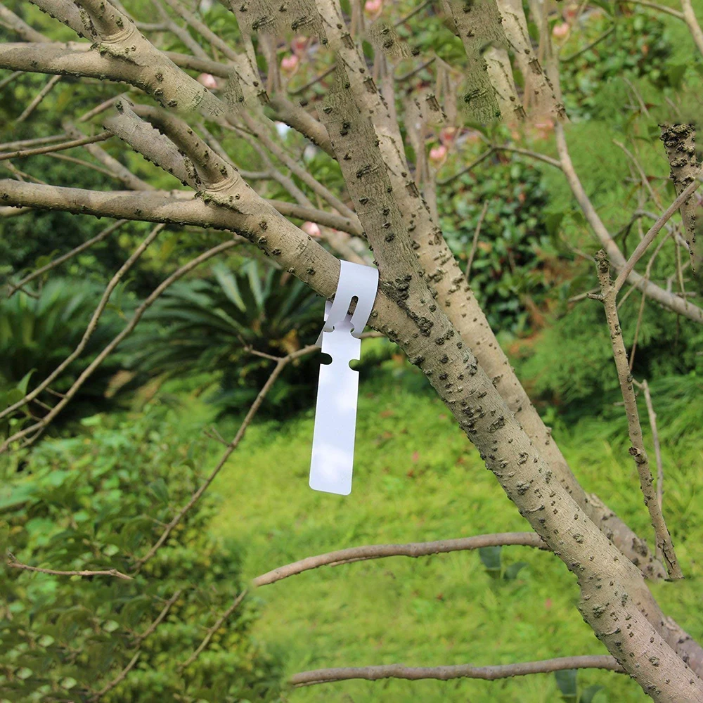 PVC Plastic Plant Marker Plant Lable plant Markers For Garden Ring Plant Tag 21*2cm Waterproof Reusable
PVC Plastic Plant Marker Plant Lable plant Markers For Garden Ring Plant Tag 21*2cm Waterproof Reusable