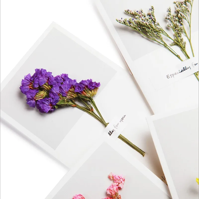 5pcs/lot Simple Christmas Dried Flower Decoration Bouquet Greeting Card Gift Card Memo Envelope Invitation Business Card
5pcs/lot Simple Christmas Dried Flower Decoration Bouquet Greeting Card Gift Card Memo Envelope Invitation Business Card