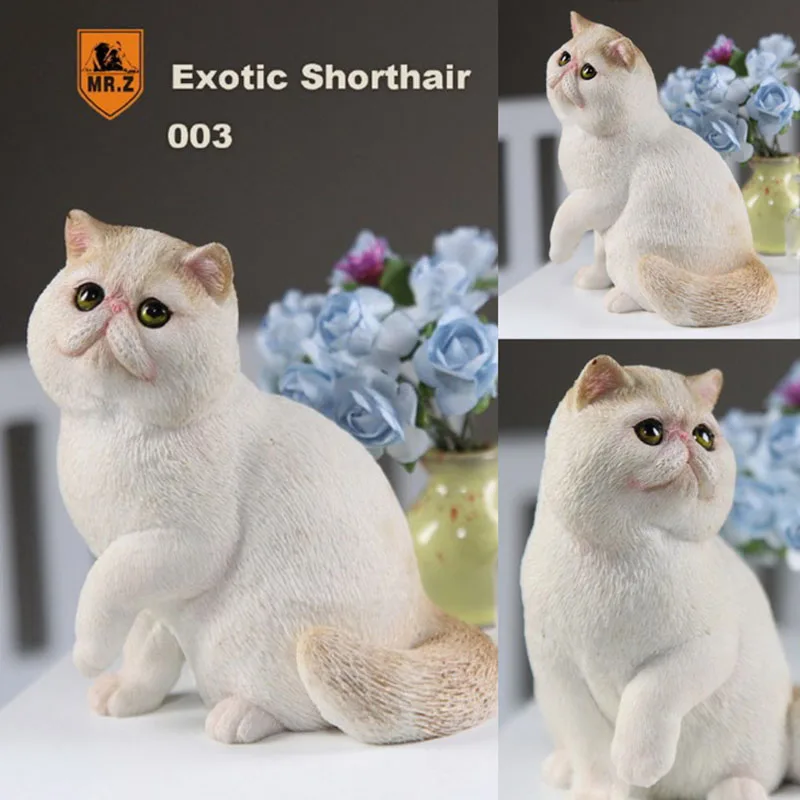 Mr.Z Cat Model 1/6 Scale Garfield Exotic Shorthair pet cat simulation animal model Toy F 12" Action Figure Scene Car Decoration
Mr.Z Cat Model 1/6 Scale Garfield Exotic Shorthair pet cat simulation animal model Toy F 12" Action Figure Scene Car Decoration
