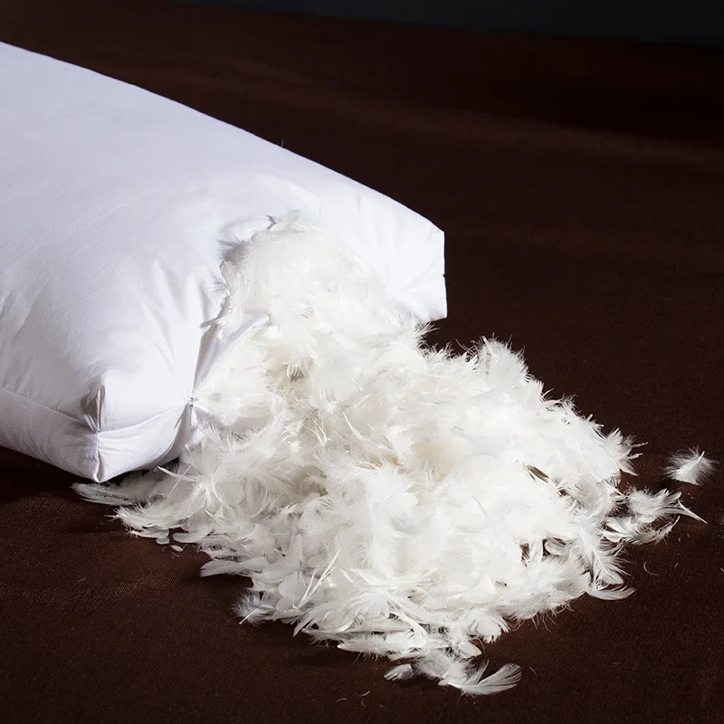 100% Goose feather Stuffing pillow Goose Down Feather pillow Standard Antibacterial Elegant White/pink/coffee/blue/grey Pillows
100% Goose feather Stuffing pillow Goose Down Feather pillow Standard Antibacterial Elegant White/pink/coffee/blue/grey Pillows