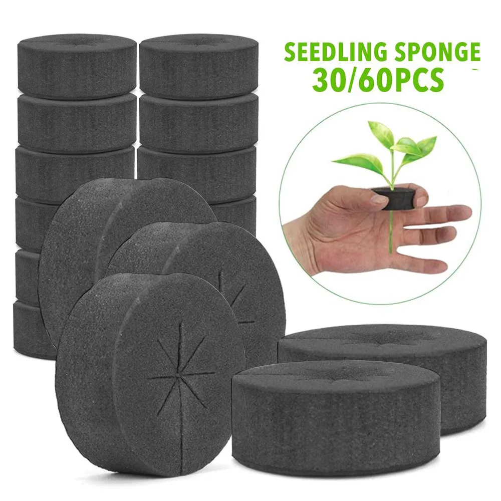 30pcs Hydroponic Supplies - Garden Clone Collars Neoprene Inserts Sponge Block 2 Inch Net Pots Hydroponics System Accessories
30pcs Hydroponic Supplies - Garden Clone Collars Neoprene Inserts Sponge Block 2 Inch Net Pots Hydroponics System Accessories