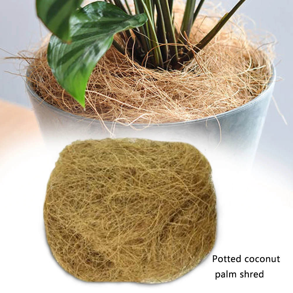 Coir птичьи гнезда для выращивания корней садовая почва практичный бонсай хорошая