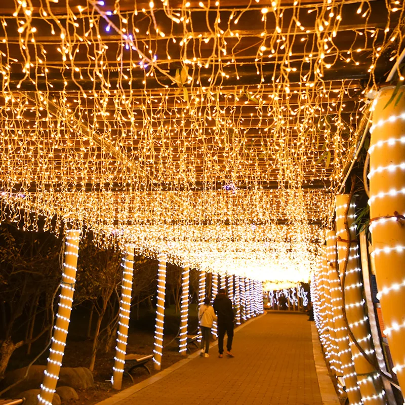 5M Christmas outdoor waterfall Light LED curtain string lights decoration lamp 220V for party garden eaves Christmas LED lights
5M Christmas outdoor waterfall Light LED curtain string lights decoration lamp 220V for party garden eaves Christmas LED lights