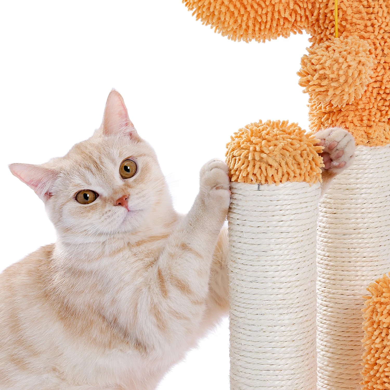 Cactus Cat Toys