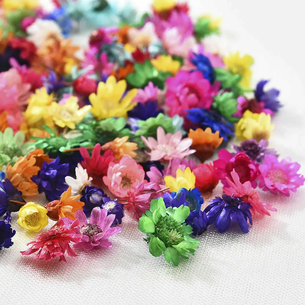 200pcs Brazilian Little Star Flower Dry Plants For Aromatherapy Candle Epoxy Resin Pendant Necklace Jewelry Making Craft
200pcs Brazilian Little Star Flower Dry Plants For Aromatherapy Candle Epoxy Resin Pendant Necklace Jewelry Making Craft