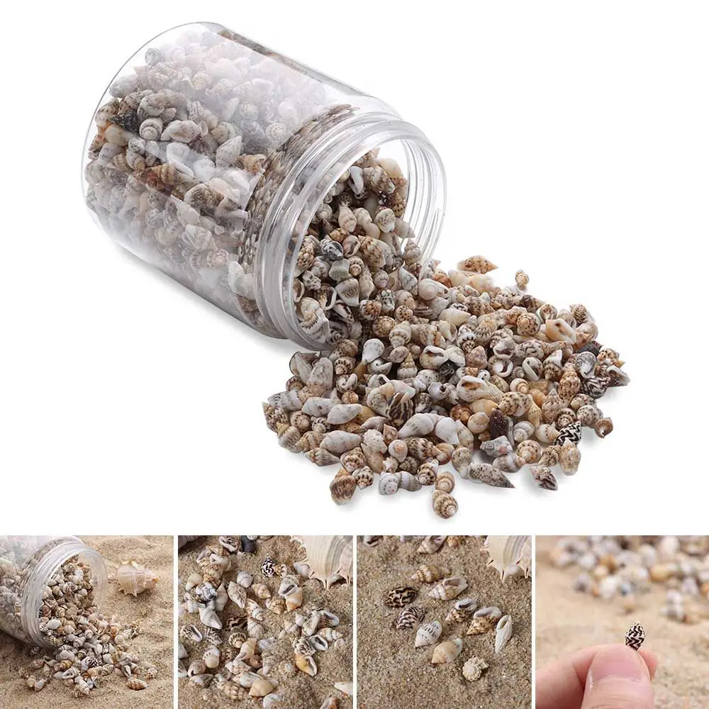 1300-1500 шт., ракушки для украшений «сделай сам»
1300-1500 шт., ракушки для украшений «сделай сам»