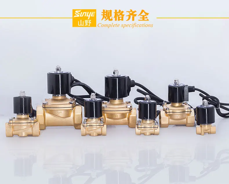 Underwater solenoid valve running fountain water valve air valve AC220VDC24V4 minutes 6 minutes 1.2 inches 1.5 inches, etc.
Underwater solenoid valve running fountain water valve air valve AC220VDC24V4 minutes 6 minutes 1.2 inches 1.5 inches, etc.