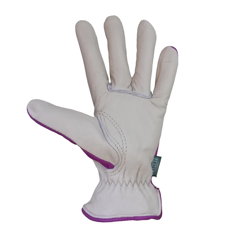 Ladies Warterproof Cow Skin Leather Durable and Soft Planting Thorn Proof Hand Protective Gardening Tool Garden Gloves
Ladies Warterproof Cow Skin Leather Durable and Soft Planting Thorn Proof Hand Protective Gardening Tool Garden Gloves