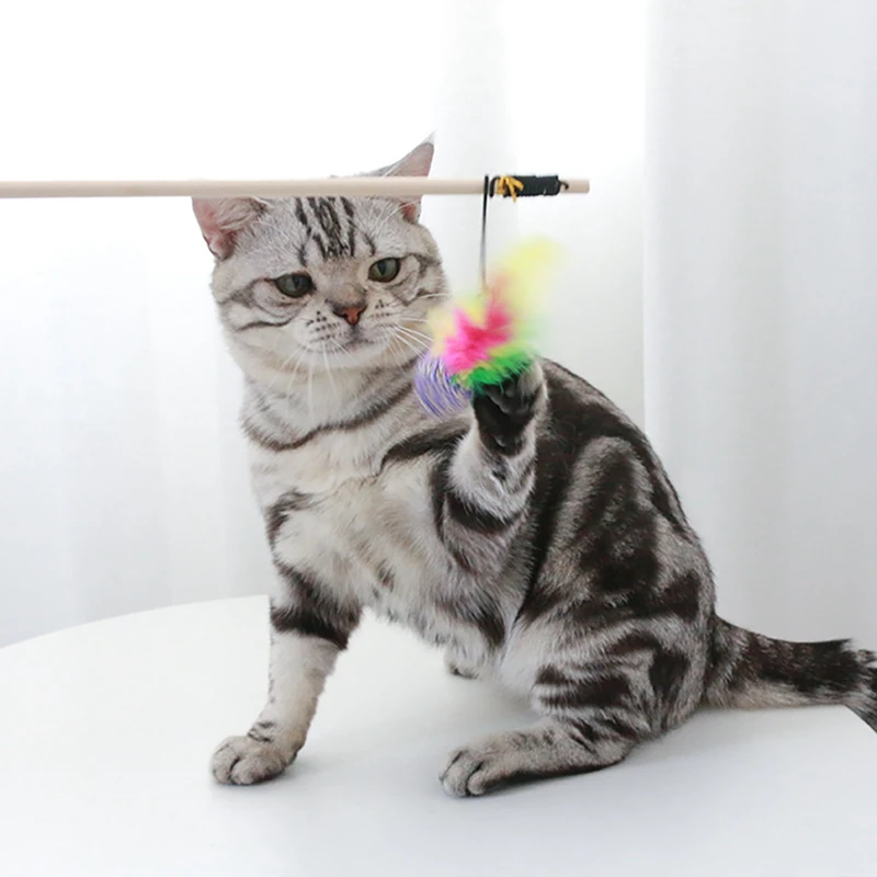 Cat Toys Cat Mouse Wand with Bells Wooden Pole Fake Feather Rod Stick Cat Kitten Teaser Toy Interactive Wand Plaything for Kitty
Cat Toys Cat Mouse Wand with Bells Wooden Pole Fake Feather Rod Stick Cat Kitten Teaser Toy Interactive Wand Plaything for Kitty
