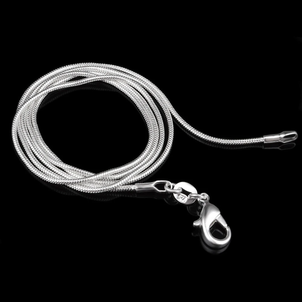 FSUNION New 2022 1MM Silver Plated Snake Chain Plated Necklace Statement Jewelry For Women Jewelry Chokers Fashion Accessories
FSUNION New 2022 1MM Silver Plated Snake Chain Plated Necklace Statement Jewelry For Women Jewelry Chokers Fashion Accessories