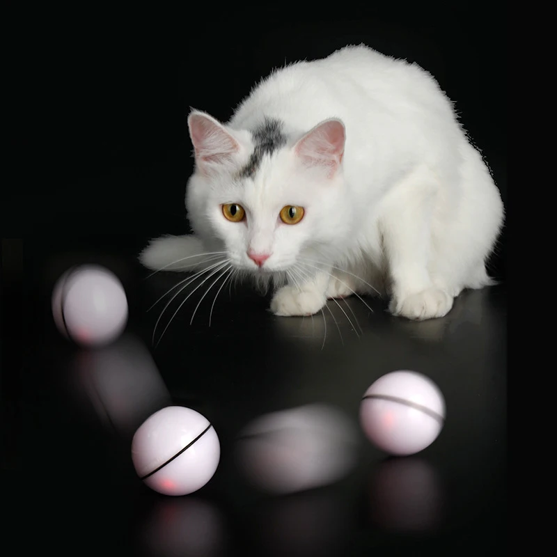 

Smart Interactive Cat Toy Ball Colorful LED Self Rotating Ball USB Rechargeable Cat Ball Toy Playing Pet Supplies for Dropship