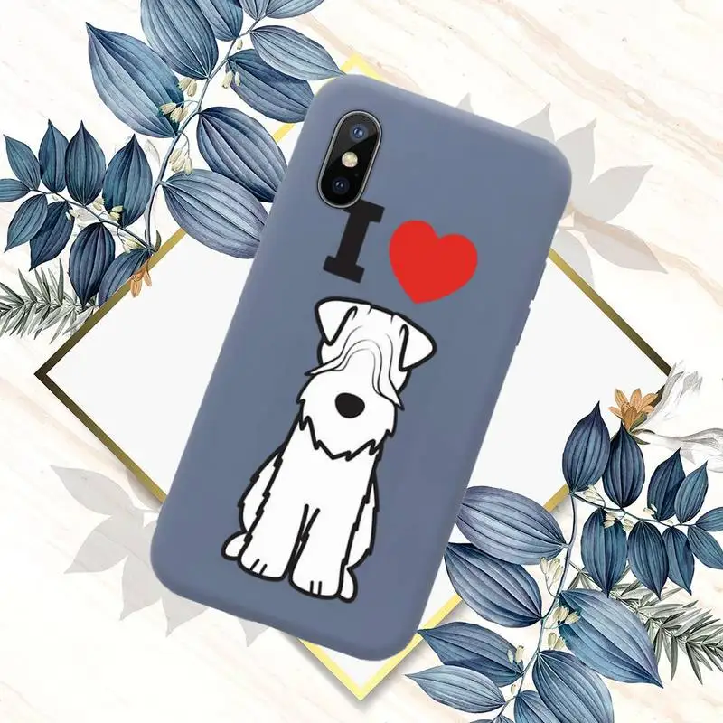 Schnauzer Phone Case Blue Candy Color for iPhone 11 12 mini pro XS MAX 8 7 6 6S Plus X SE 2020 XR
Schnauzer Phone Case Blue Candy Color for iPhone 11 12 mini pro XS MAX 8 7 6 6S Plus X SE 2020 XR