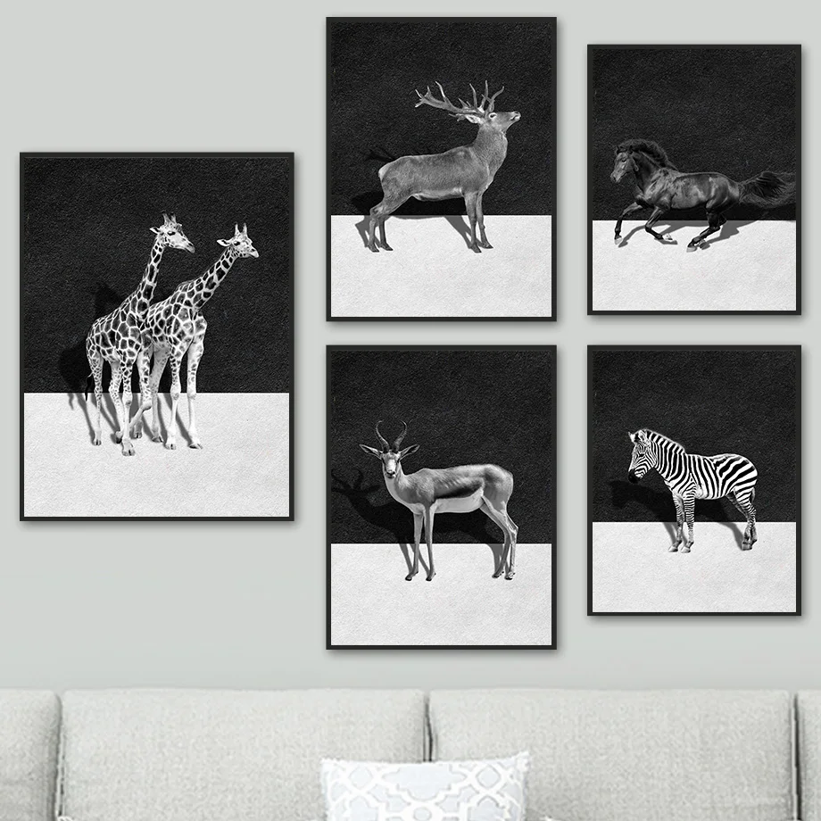 Zebra Giraffe Antelope Horse Black White Nordic Posters And Prints Wall Art Canvas Painting Wall Pictures For Living Room Decor
Zebra Giraffe Antelope Horse Black White Nordic Posters And Prints Wall Art Canvas Painting Wall Pictures For Living Room Decor