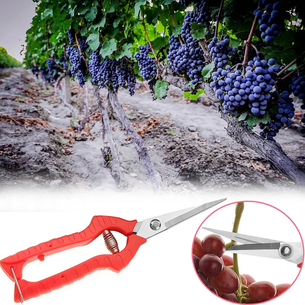 Garden Pruning Shear Stainless Steel Scissors Gardening Plant Scissor Branch Hands Pruner Trimmer Tool for Tree/Flowers Trimming
Garden Pruning Shear Stainless Steel Scissors Gardening Plant Scissor Branch Hands Pruner Trimmer Tool for Tree/Flowers Trimming
