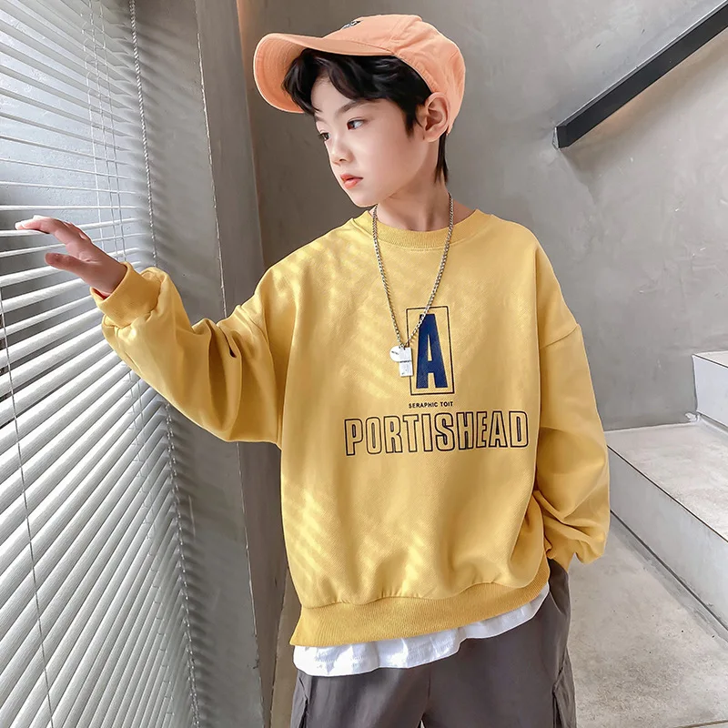 Arrivel Spring Autumn Boys Sweatshirts Jacket Coat Kids Outwear Children Clothes Tops Teenager Sport Beach School High Quality
Arrivel Spring Autumn Boys Sweatshirts Jacket Coat Kids Outwear Children Clothes Tops Teenager Sport Beach School High Quality
