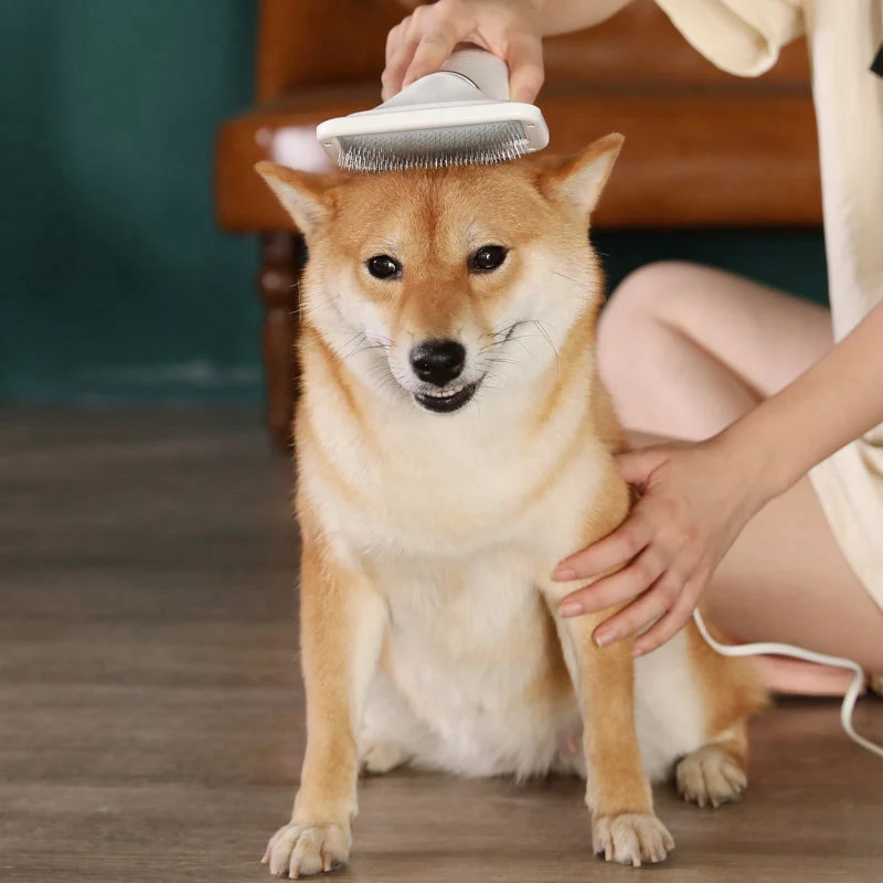 Pet Grooming Hair Dryer With Slicker Brush Dog Cat Furmins Hair Removal Comb Handle Beauty Brush Accessories
Pet Grooming Hair Dryer With Slicker Brush Dog Cat Furmins Hair Removal Comb Handle Beauty Brush Accessories