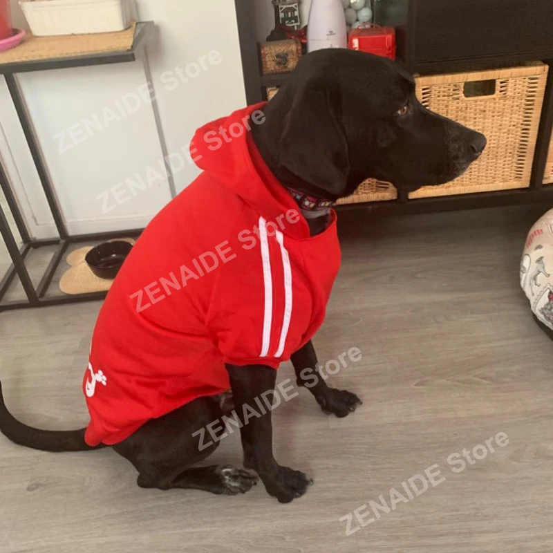 3XL-9XL хлопковая одежда для больших питомцев, пальто для собак большого размера, куртка с капюшоном, свитер, футболка, зимняя одежда для собак
3XL-9XL хлопковая одежда для больших питомцев, пальто для собак большого размера, куртка с капюшоном, свитер, футболка, зимняя одежда для собак