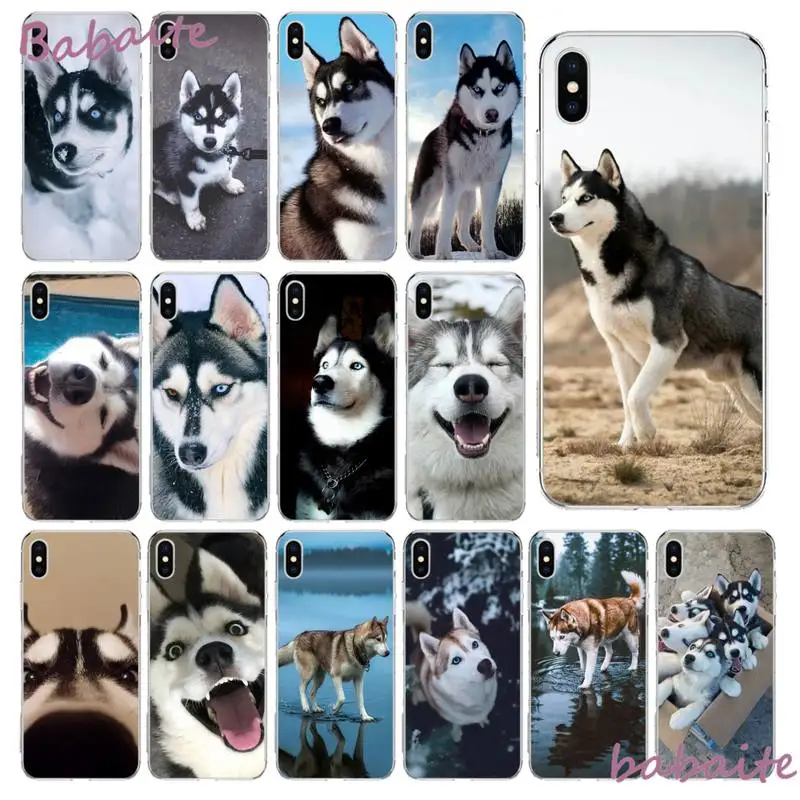 Babaite Animal dog husky Phone Case fundas for iPhone 8 7 plus case for 5 5S SE cover for XR 11 pro max
Babaite Animal dog husky Phone Case fundas for iPhone 8 7 plus case for 5 5S SE cover for XR 11 pro max