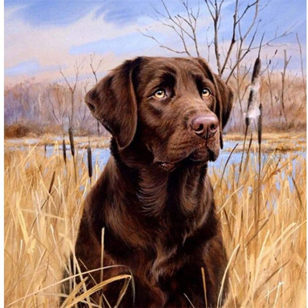 Animal Dog Labrador Printed Water-Soluble Canvas 11CT Cross Stitch Patterns Embroidery DMC Threads Knitting Painting Needle
Animal Dog Labrador Printed Water-Soluble Canvas 11CT Cross Stitch Patterns Embroidery DMC Threads Knitting Painting Needle