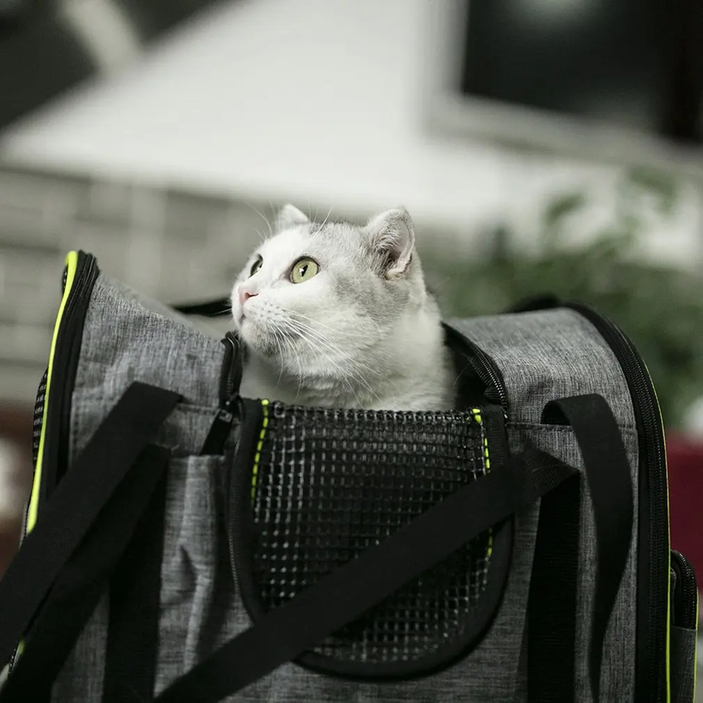 Pet Backpack Outdoor Travel Pet Carrier For Cat Dog Bag Car Portable Multifunctional Durable Backpack Cat Accessories
Pet Backpack Outdoor Travel Pet Carrier For Cat Dog Bag Car Portable Multifunctional Durable Backpack Cat Accessories