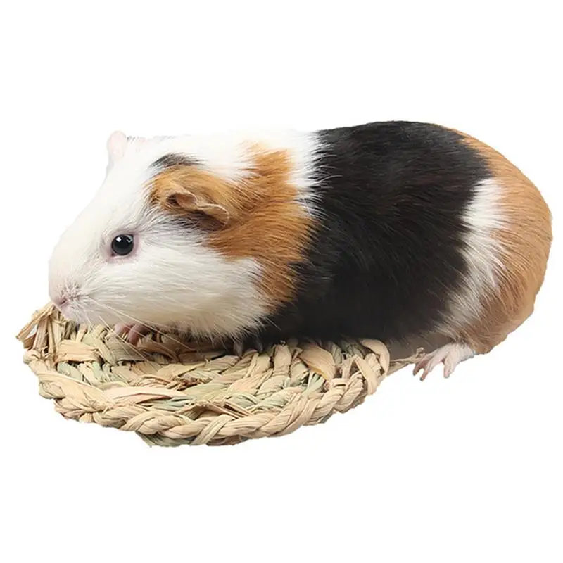 Legendog 1pc Small Pet Bed Mat Natural Straw Woven Hamster Mat Pet Chew Toy For Small Animals Pet Supplies For Summer
Legendog 1pc Small Pet Bed Mat Natural Straw Woven Hamster Mat Pet Chew Toy For Small Animals Pet Supplies For Summer