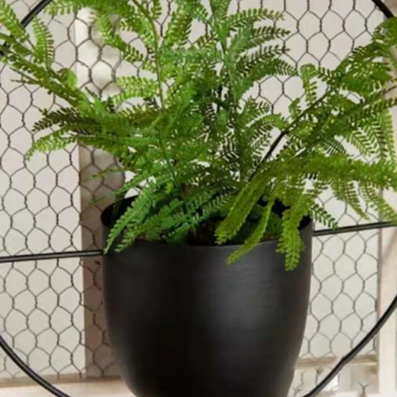 VOGVIGO Metal Hanging Pot Plant Hanger Chain Hanging Planter Basket Flower Pot Plant Holder Home Garden Balcony Decoration
VOGVIGO Metal Hanging Pot Plant Hanger Chain Hanging Planter Basket Flower Pot Plant Holder Home Garden Balcony Decoration