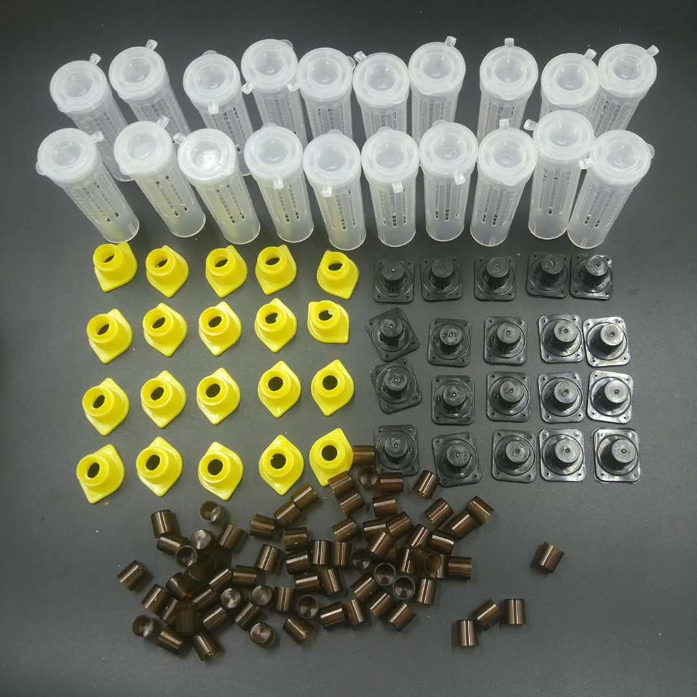 1 Set Bees Tools Cages King Queen Rearing Cupkit System Bee Beekeeping Catcher Box Cell Cups Cage Nicot Complete Kit Apicultura
1 Set Bees Tools Cages King Queen Rearing Cupkit System Bee Beekeeping Catcher Box Cell Cups Cage Nicot Complete Kit Apicultura