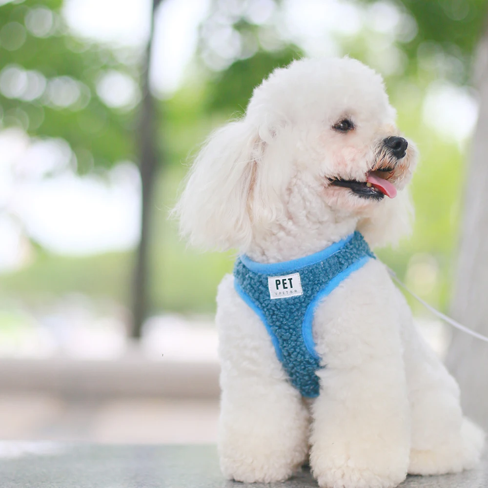 Small Dog Harness and Cat Harness Soft Mesh Adjustable Cat Vest Harness with Reflective Strap Comfort Fit for Pet Kitten Puppy
Small Dog Harness and Cat Harness Soft Mesh Adjustable Cat Vest Harness with Reflective Strap Comfort Fit for Pet Kitten Puppy