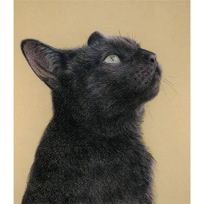 Imixlot Cartoon Animal Dog Cat Tapestry Wall Hanging Blanket Outdoor Picnic Mat Beach Blanket Home Decoration Supplies
Imixlot Cartoon Animal Dog Cat Tapestry Wall Hanging Blanket Outdoor Picnic Mat Beach Blanket Home Decoration Supplies